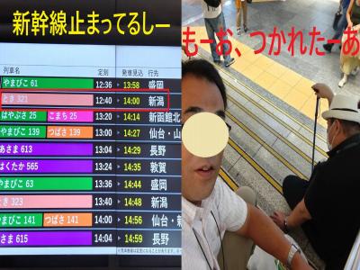 新潟オフ会★新幹線大幅遅れで行くはずだった場所にも行けず食べてばっかり、おなかいっぱいだけど疲れたあ