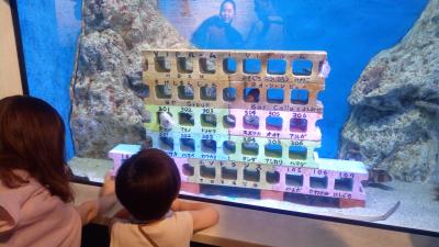 愛知県蒲郡市　ガマゴリうどん・竹島水族館（公共交通機関のみ）青春１８きっぷ