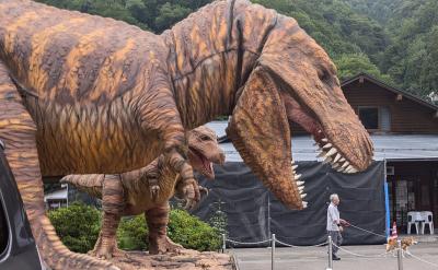 令和6年度・ビールが欠かせない、夏季ひとり合宿　その６　白山　今そこにある危機