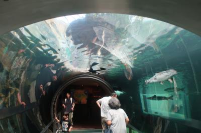 栃木県唯一の水族館 なかがわ水遊園へ行く