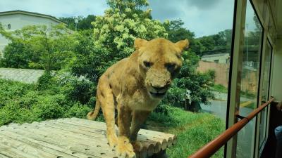 2024夏【横浜 東京】2泊3日③多摩動物公園