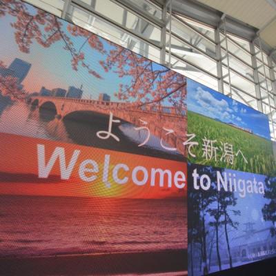 空の日フェス by  Niigata Airportと新潟ナポリタン