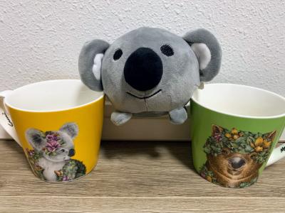 キュランダにも島にもポンツーンにも行かなかったケアンズ(^^;; ①