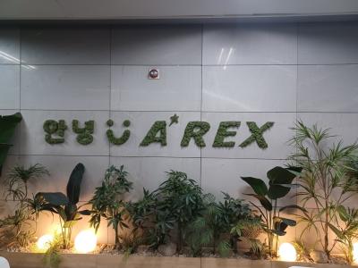 韓国ドラマロケ地巡り一人旅　第四話～まとめ編～