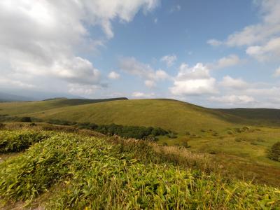 久しぶりの美ケ原高原美術館と別所北向観音が懐かしく、御泉水自然園と坪庭では清涼感をたっぷり味わった旅！！