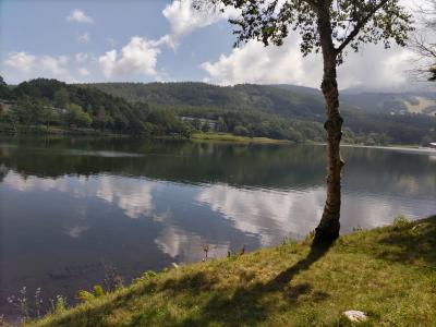 白樺湖と女神湖・蓼科湖の湖巡りと山梨清里で涼を取る旅！