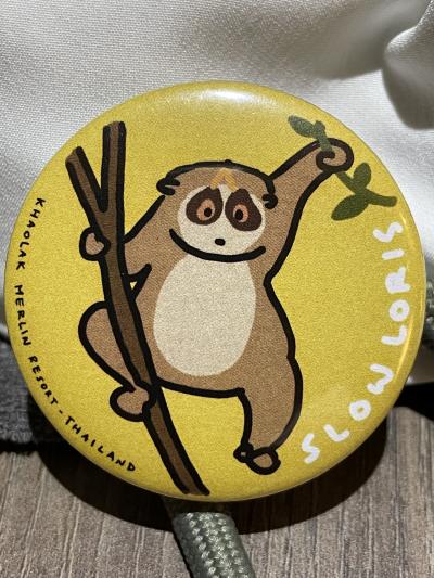 10年ぶりのカオラック　2