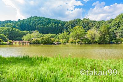 【青春１８きっぷ】東京から行く国指定文化財撮影の日帰り旅行