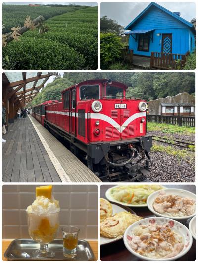 台湾好きな友達2人と現地集合・解散の旅　2日目阿里山編