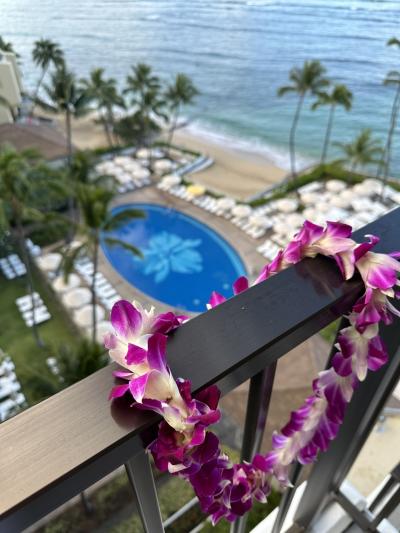 2024年5月klklさんの恒例バースデーHawaii ⑦最終日からの帰国