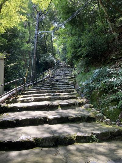 京都5日目　栂尾、槇尾、高雄を歩く