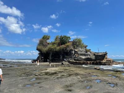 じぃじとばぁばと行く久々海外（インドネシ　バリ島） 1日目～3日目