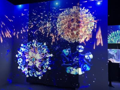 品川アクアパークに行き、イルカショーやカピバラにご飯をあげたりバイキングにのって騒いだり満喫しました