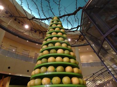 梨を求めて鳥取倉吉ひとり旅 三朝温泉宿泊