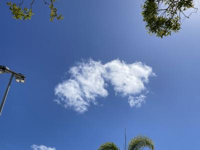 2024夏旅~12年ぶりの英語圏