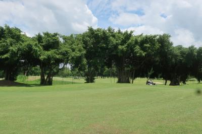 Pattaya Golf/雨期オフはヤヤ涼しくコース空いてる　8月/2024