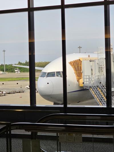 ANA エコノミークラス 成田→シカゴ 搭乗記 2024年4月