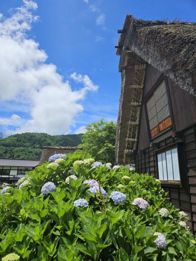 ..★...岐阜～白川郷編～...★..