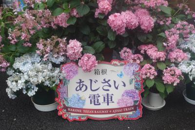 三世代で行く　箱根「季の湯　雪月花」