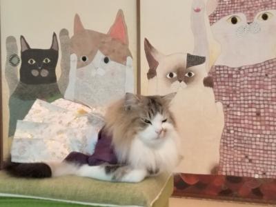 猫猫寺へ猫参りしに行った話