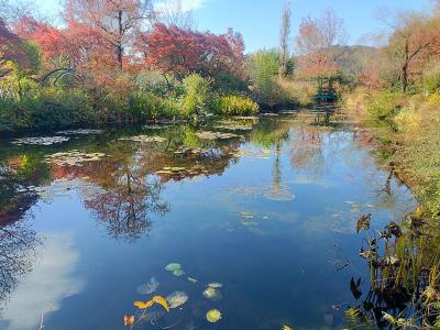 師走 土佐 室戸岬,モネの庭,安芸城 12/03 01