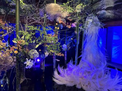 和のあかり×百段階段2024　～妖美なおとぎばなし～