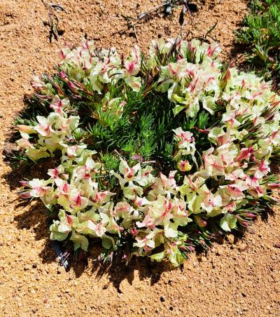 2024年、5年ぶりの西オーストラリア 3 【3日目其の2】