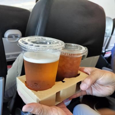 ドタバタニャチャンのハノイトランジットはビール漬け