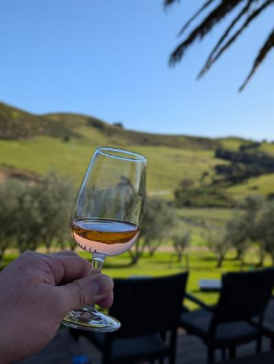 カンタスで行く初めての南半球!オークランド(NZ)⇒メルボルン(AUS)でワインをたくさん飲む旅!②