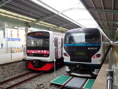 乗り鉄になって下田へ　６　ラスト