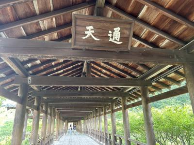 2024秋の京都ツアー vol.1 観光編① 東福寺