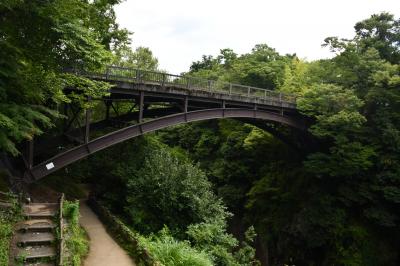 猿橋は日本三奇橋の一つだそうです。