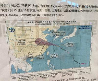 武陵源・天門山・鳳凰古城2024 その1 ~台風13号で上海2泊足止め、長沙から高鉄で~