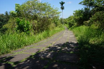 のんびり癒旅　その2.ウブド2