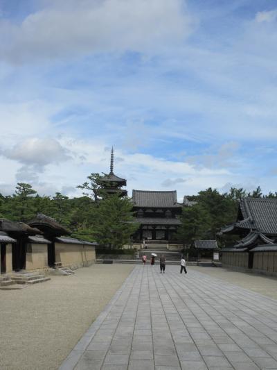 数十年ぶりの奈良訪問Day2(202409)