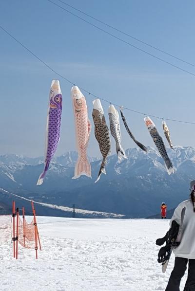 2023-2024 新潟スキー