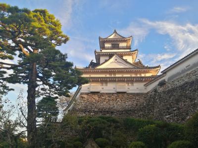 ’２４　四国周遊 観光列車＆蓋旅１６　高知（マンホールカード～高知城～明神丸～高知城ライトアップ）