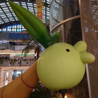 初宮崎 連日降水確率100%予報...でも満喫