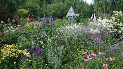 ベストシーズン北海道　富良野・美瑛・旭川・白老②