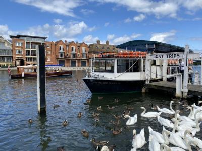 イギリスロングステイ2024夏(2) ウィンザー城~カッスルクーム