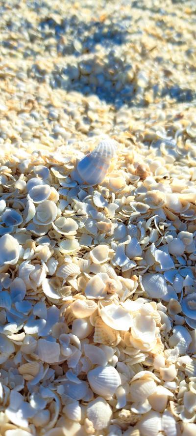 2024年、5年ぶりの西オーストラリア 5 【4日目其の2】