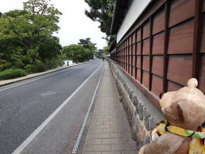 鳥取から島根へ2024(12)松江と言えば、小泉八雲にオックスフォード