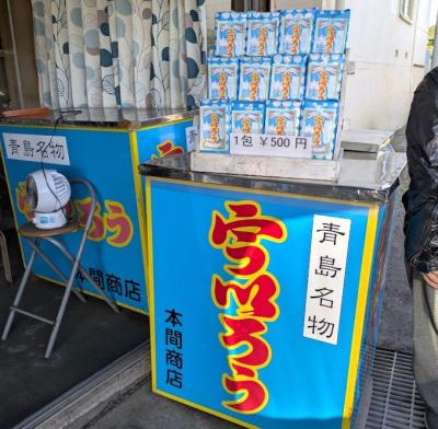 スワンに見惚れたり、青島で鯛を釣ったり（宮崎）