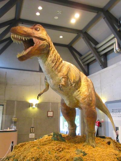 佐川地質館・ナウマンカルスト☆高野山満願ドライブ2024年⑦-1