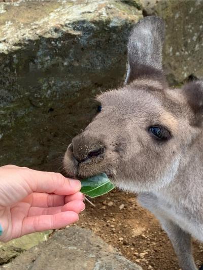 伊東旅行(1) 城ケ崎海岸と伊豆シャボテン動物公園