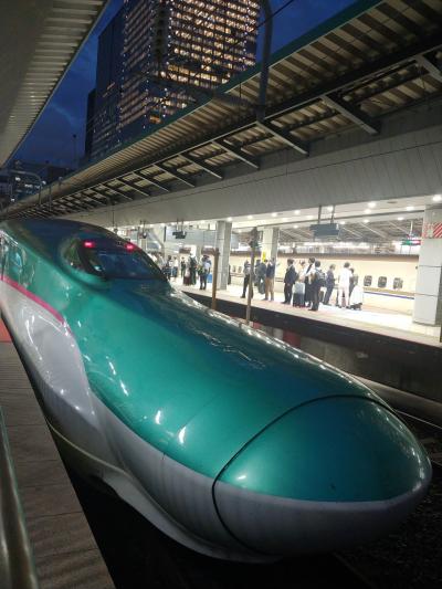 2024　大人の休日倶楽部パスで行く　岩手のはずが東京　一泊2人旅　②