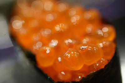 20240928-1 豊洲 寿司大でいつもながらにやっちゃってもらいます。と、つまみ充実…も少し握りも欲しかったもですが