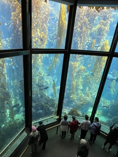 202409 憧れのセドナ#3 モントレーに立ち寄りファーストクラスで帰国