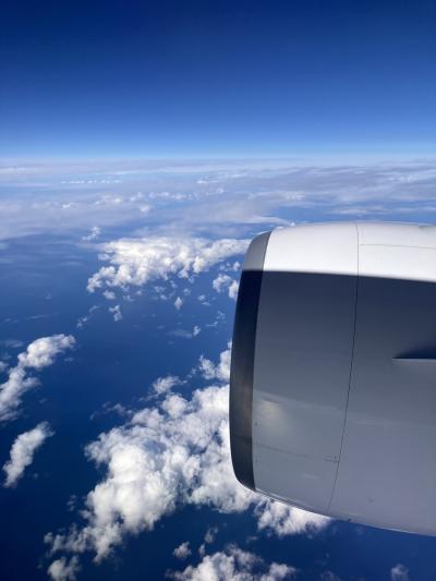 旅行中のしくじり記録 (24) 2024-09