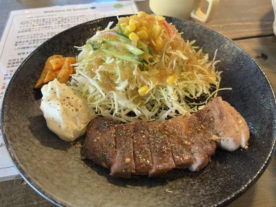 2024年4月　高知宇和島旅行①　JAL491便（羽田ー高知）搭乗と高知のトンテキランチ